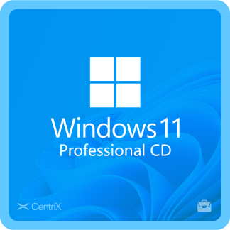 Windows 11 Professional CD Key